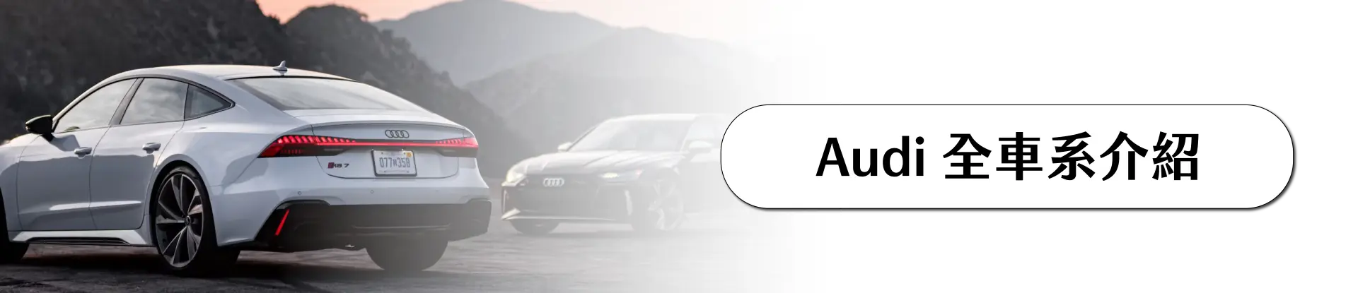 audi,奧迪,新莊奧迪